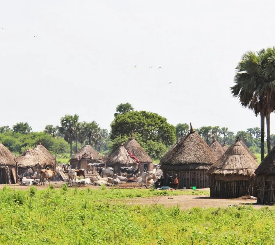 Riedgedeckte Hütten in Gambella, Äthiopien