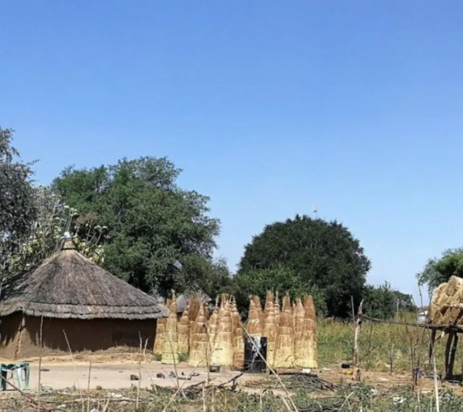Houses in South Sudan