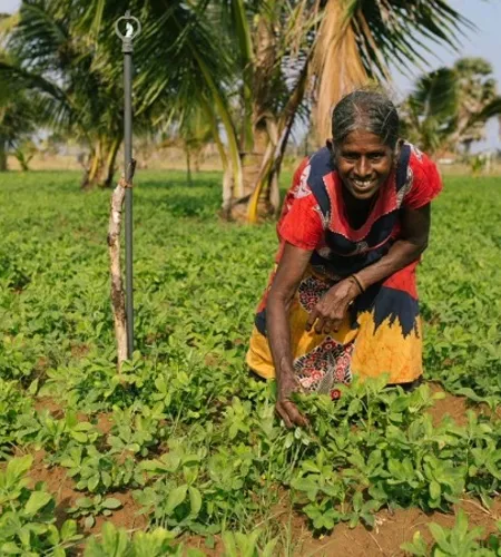 Sri Lanka: Lachende Frau bestellt ihr Feld