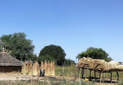 Mitarbeiter im Südsudan getötet: Strohhütten im Südsudan