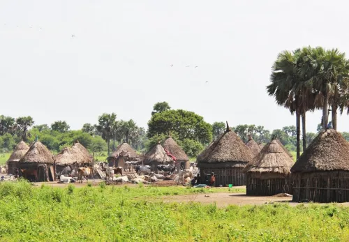 Riedgedeckte Hütten in Gambella, Äthiopien