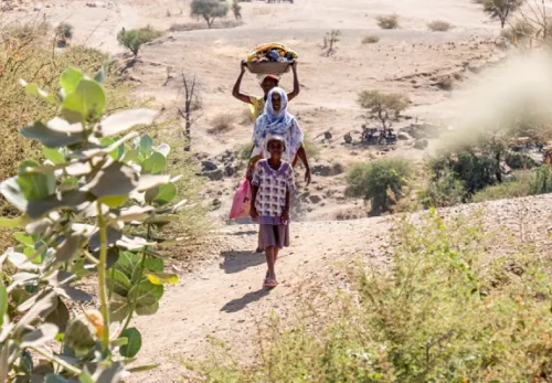 Notruf aus Tigray: Flüchtlinge tragen ihr weniges Gut auf dem Kopf